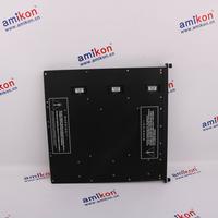 TRICONEX TRICON 3002 * sales2@amikon.cn *